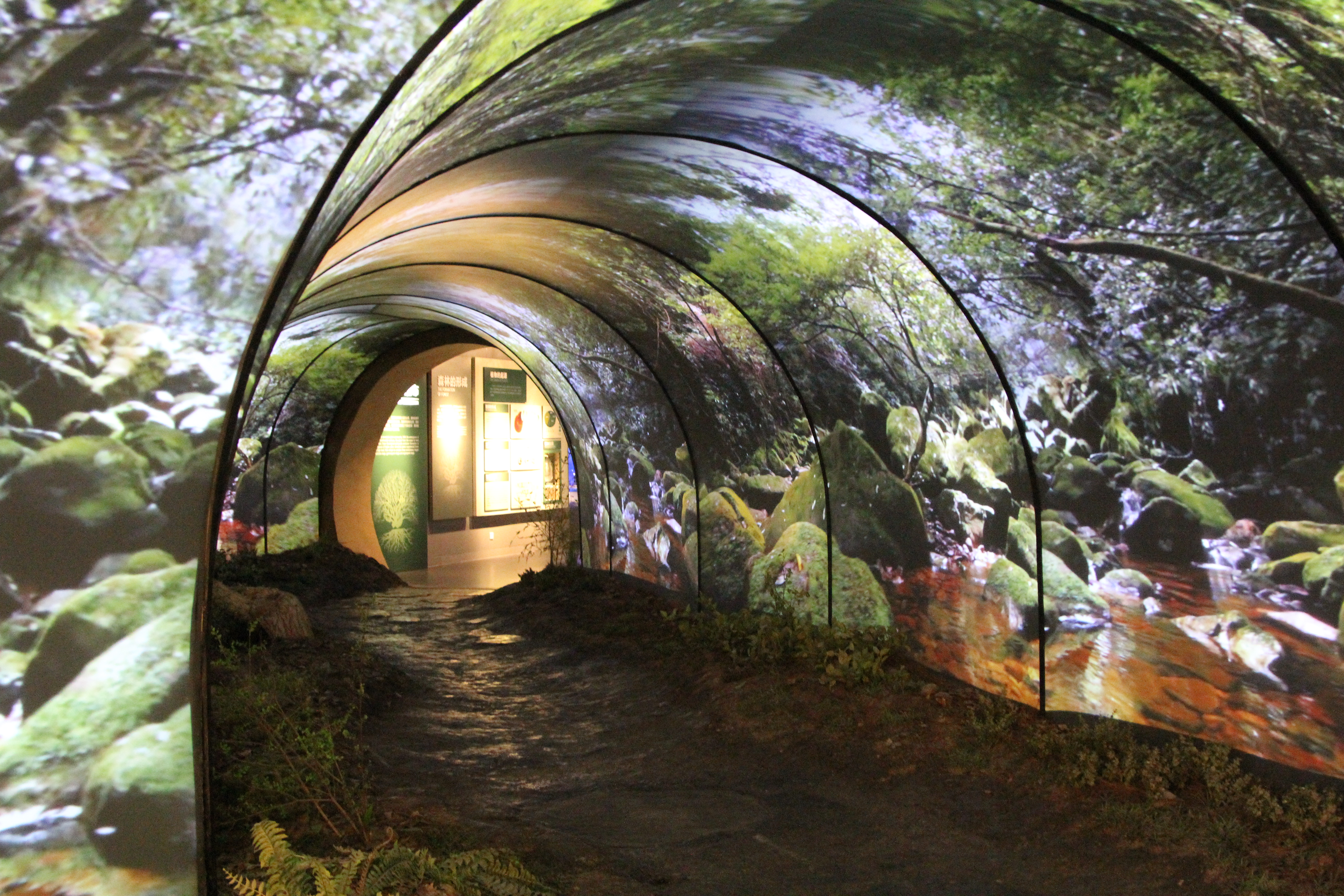 4D森林主题通道.JPG